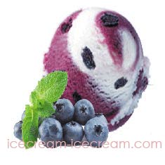 Scoop of yogurt blueberry