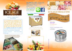 Ice cream display brochure